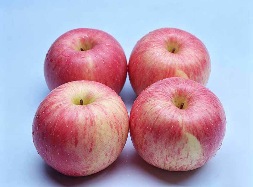 Screw press dewatering machine processing apple