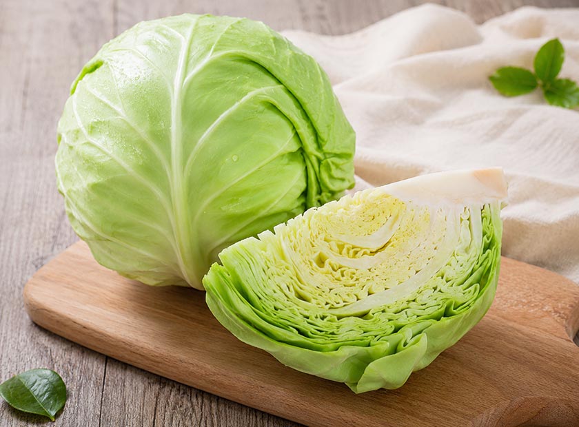 Screw press dewatering machine processing cabbage