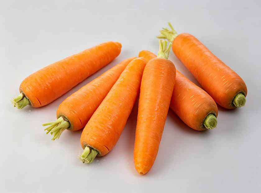 Screw press dewatering machine processing carrot