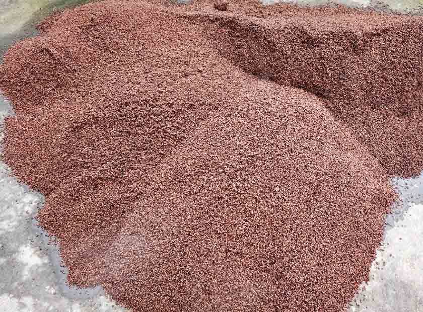 Screw press dewatering machine processing distiller's grains