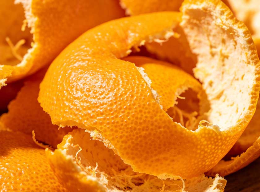 Screw press dewatering machine processing orange peel