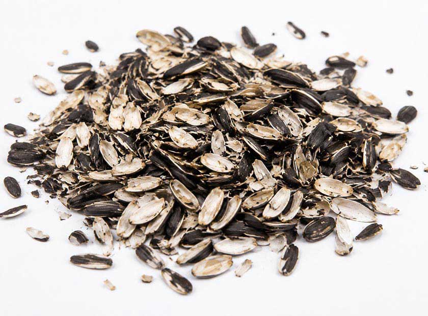 Screw press dewatering machine processing sunflower seed shell film